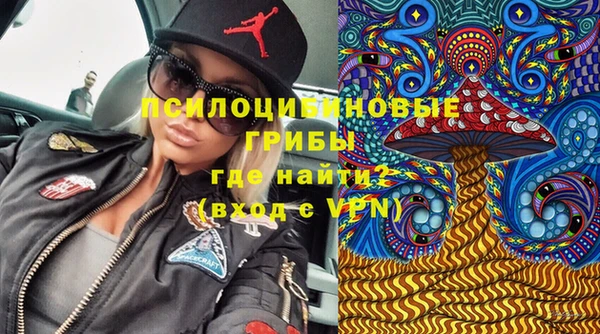 мяу мяу мука Абаза