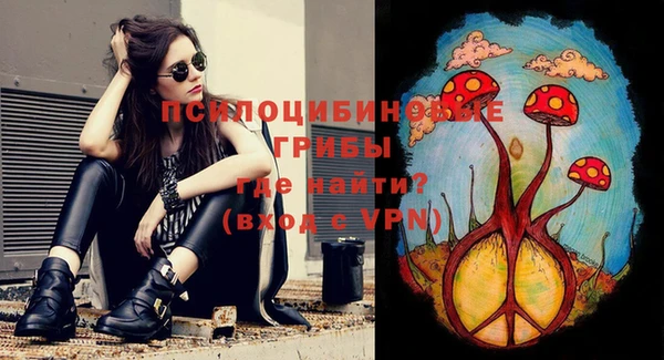 spice Абинск