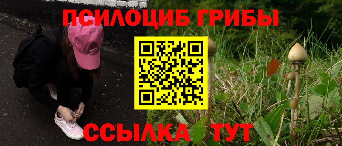 закладка  Псилоцибиновые грибы GOLDEN TEACHER  Вход с VPN  Галлюциногенные грибы прущие грибы  Тюмень 