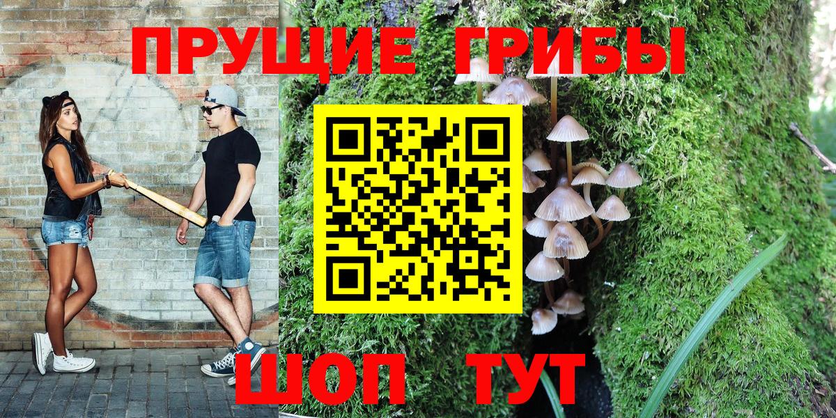Псилоцибиновые грибы Psilocybe Тюмень